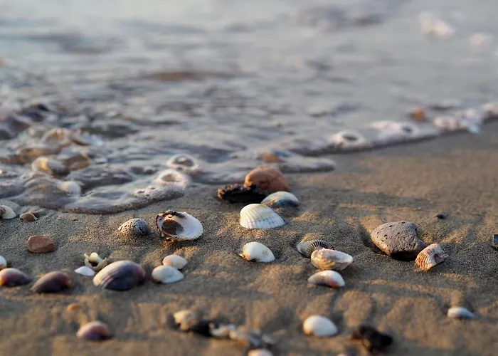 Апартаменты Charming Flat With Shared Pool - Beahost